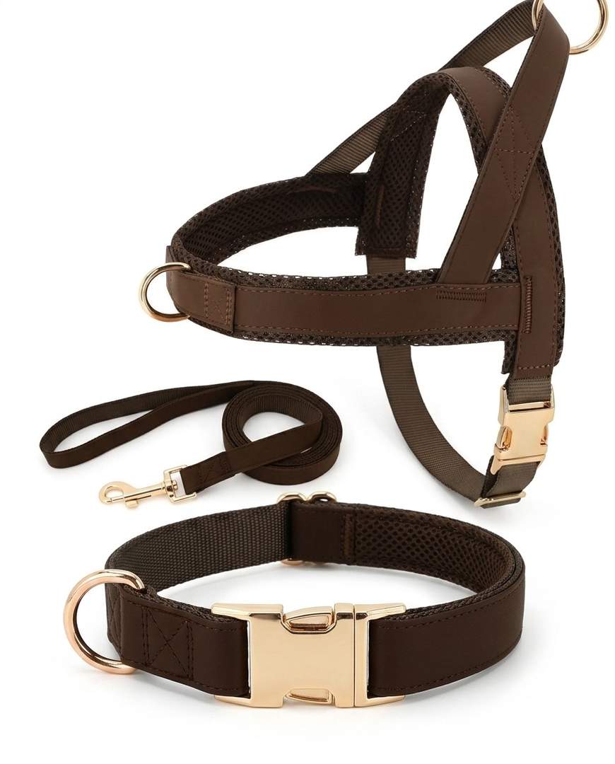 Leather Dog Harness, Collar & Leash Set with Personalized Name Engraving