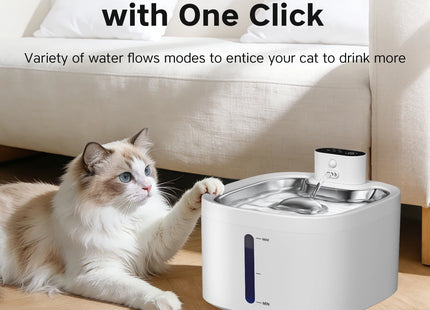 Wireless cat water fountain with motion sensor
