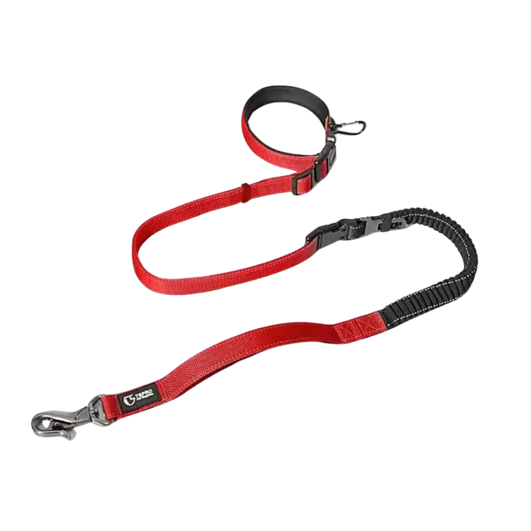 Hands-Free Crossbody Dog Leash with Double Handles